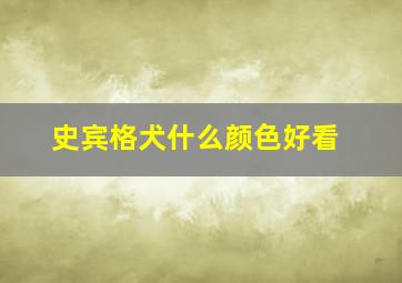 史宾格犬什么颜色好看