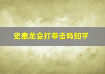 史泰龙会打拳击吗知乎