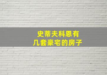 史蒂夫科恩有几套豪宅的房子