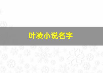 叶凌小说名字