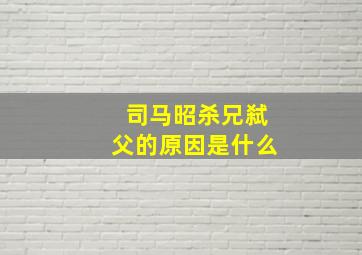 司马昭杀兄弑父的原因是什么