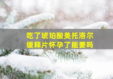 吃了琥珀酸美托洛尔缓释片怀孕了能要吗