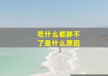 吃什么都胖不了是什么原因