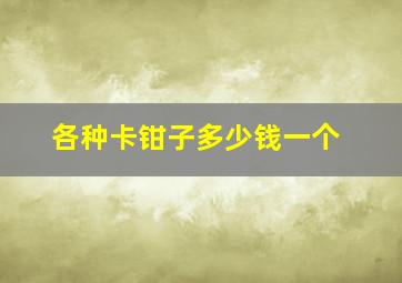 各种卡钳子多少钱一个