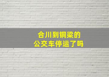 合川到铜梁的公交车停运了吗