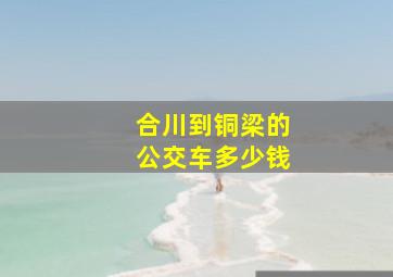 合川到铜梁的公交车多少钱