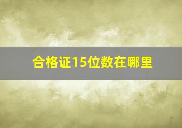 合格证15位数在哪里