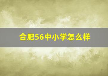 合肥56中小学怎么样