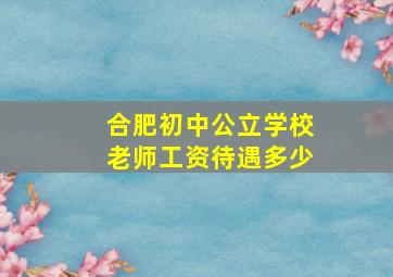 合肥初中公立学校老师工资待遇多少