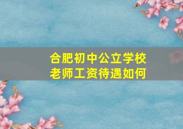 合肥初中公立学校老师工资待遇如何