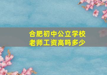 合肥初中公立学校老师工资高吗多少