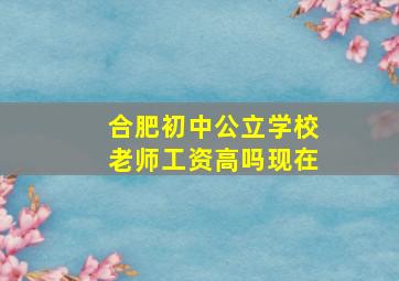 合肥初中公立学校老师工资高吗现在