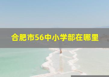 合肥市56中小学部在哪里