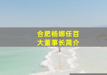 合肥杨娜任百大董事长简介