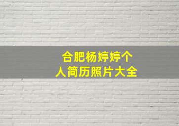 合肥杨婷婷个人简历照片大全