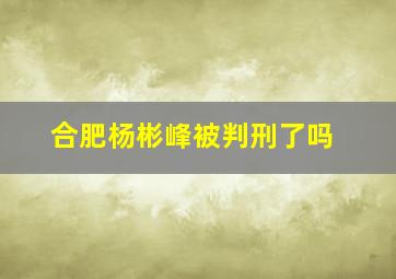 合肥杨彬峰被判刑了吗