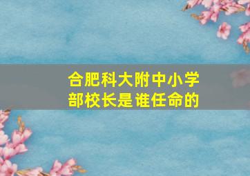 合肥科大附中小学部校长是谁任命的