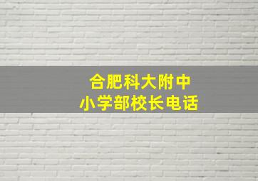 合肥科大附中小学部校长电话