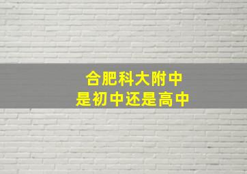 合肥科大附中是初中还是高中