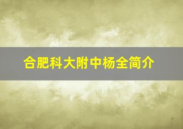 合肥科大附中杨全简介