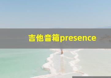 吉他音箱presence