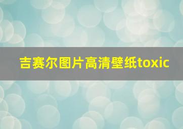 吉赛尔图片高清壁纸toxic