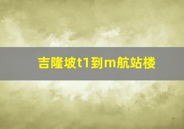 吉隆坡t1到m航站楼