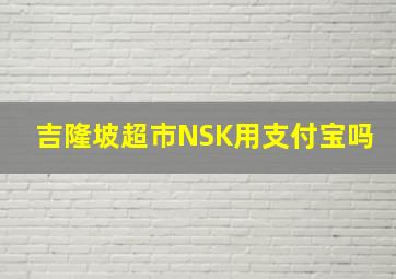 吉隆坡超市NSK用支付宝吗