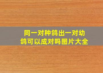 同一对种鸽出一对幼鸽可以成对吗图片大全