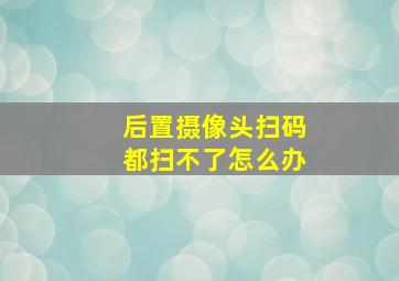 后置摄像头扫码都扫不了怎么办