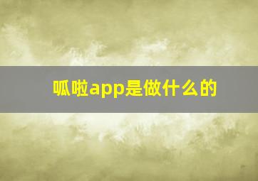 呱啦app是做什么的