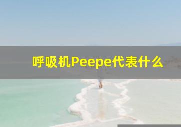 呼吸机Peepe代表什么