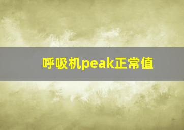 呼吸机peak正常值