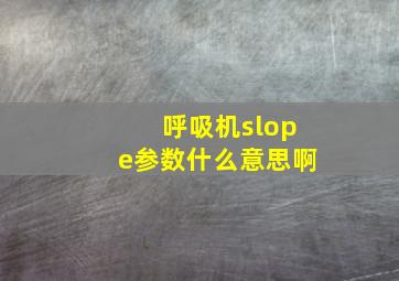 呼吸机slope参数什么意思啊