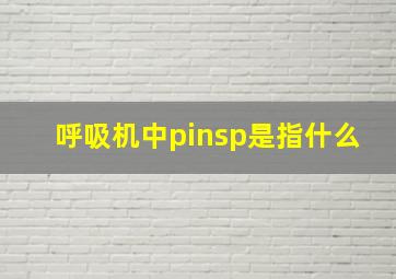 呼吸机中pinsp是指什么