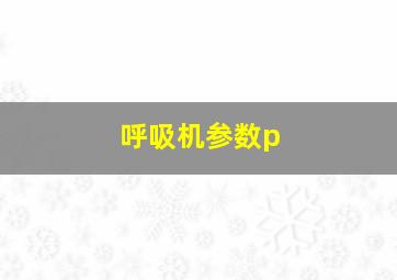 呼吸机参数p