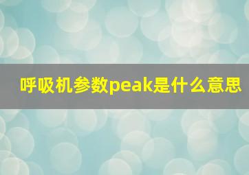 呼吸机参数peak是什么意思