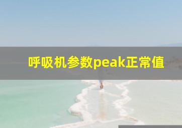 呼吸机参数peak正常值