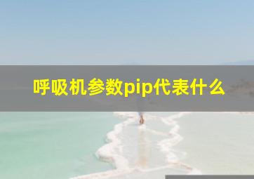 呼吸机参数pip代表什么