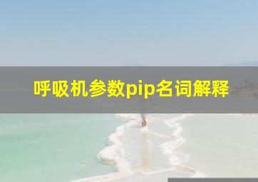 呼吸机参数pip名词解释