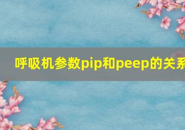 呼吸机参数pip和peep的关系