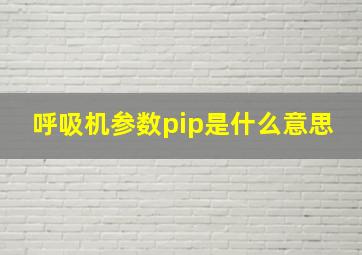 呼吸机参数pip是什么意思