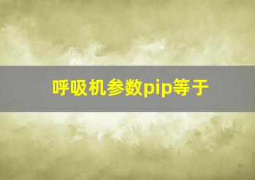 呼吸机参数pip等于