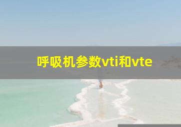 呼吸机参数vti和vte