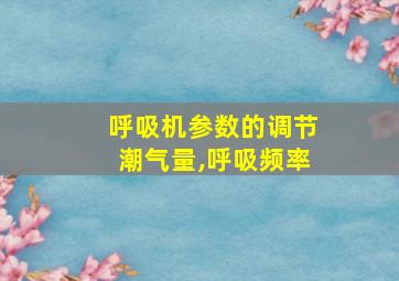 呼吸机参数的调节潮气量,呼吸频率