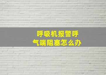 呼吸机报警呼气端阻塞怎么办