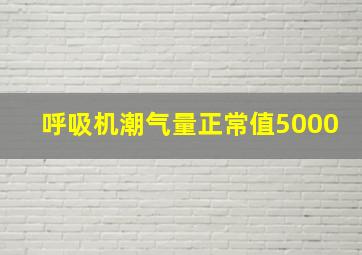 呼吸机潮气量正常值5000