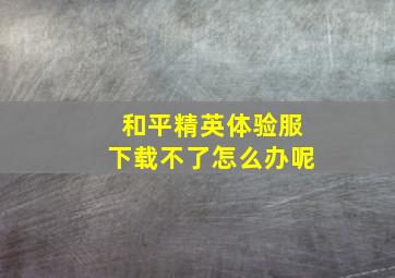 和平精英体验服下载不了怎么办呢