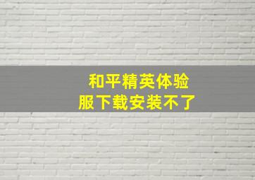 和平精英体验服下载安装不了