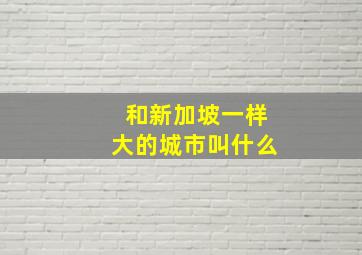 和新加坡一样大的城市叫什么